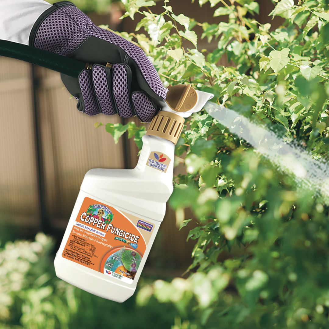 Liquid Copper Fungicide Spray- Bonide – 32 oz